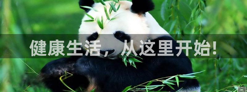 凯发官网下载招商电话地址查询：健康生活，从这里开始!