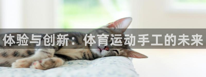 凯发官网下载招商电话号码查询是多少：体验与创新：体育