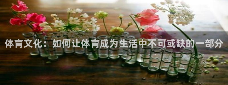 凯发官方正版app官方：体育文化：如何让体育成为生活