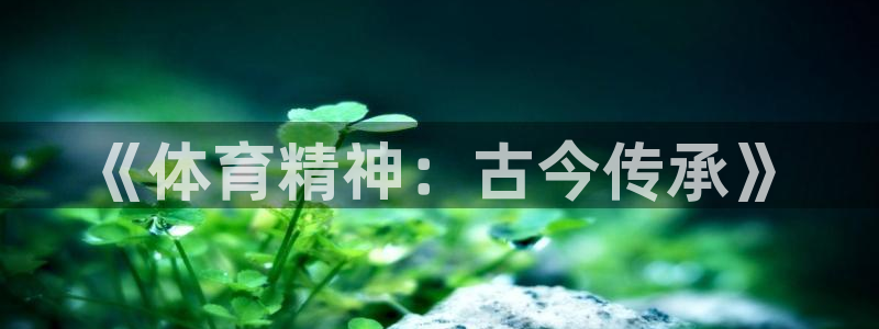 凯发官网下载平台假的吗是真的吗吗：《体育精神：古今传