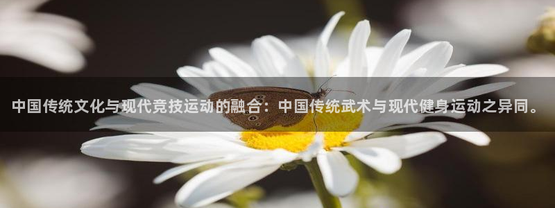 凯发官方正版app代理：中国传统文化与现代竞技运动的