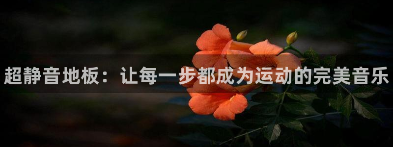 凯发官网下载招商电话是多少号码：超静音地板：让每一步