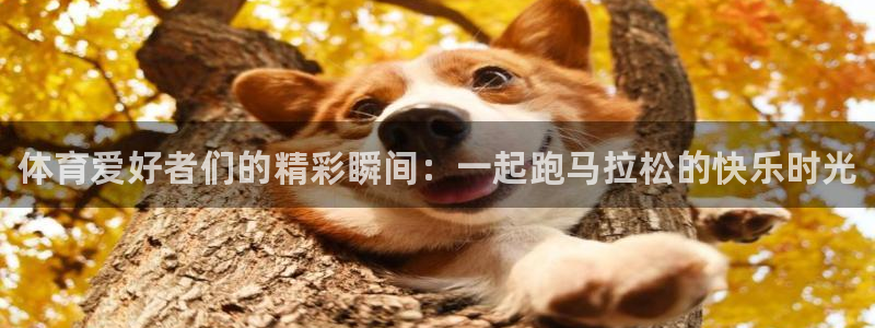 海南凯发官网下载发展怎么样：体育爱好者们的精彩瞬间：