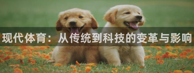 注册凯发官方正版app：现代体育：从传统到科技的变革