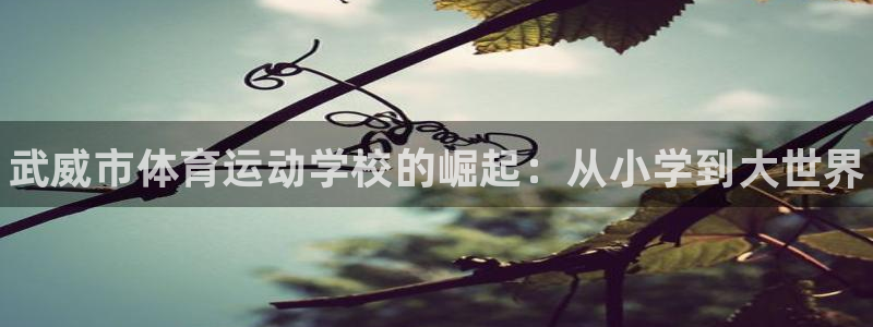 凯发官方正版app五金厂：武威市体育运动学校的崛起：