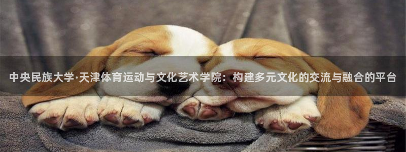 凯发官方正版app集团官网首页网址：中央民族大学·天