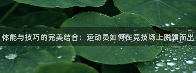 凯发官方正版app集团logo：体能与技巧的完美结合
