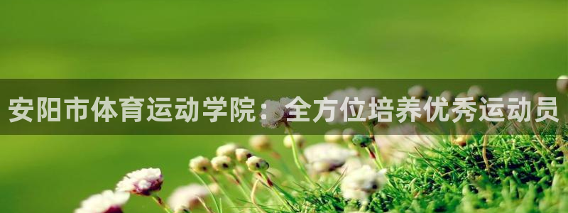 凯发官网下载开户：安阳市体育运动学院：全方位培养优秀运动员