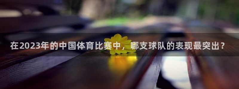 凯发官网下载平台假的吗是真的吗吗：在2023年的中国体育比赛