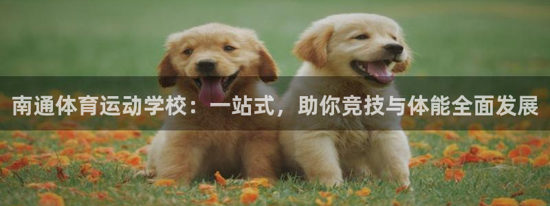凯发官方正版app新能源：南通体育运动学校：一站式，助你竞技