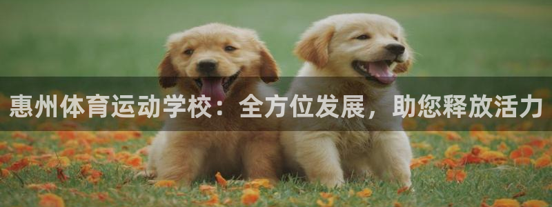 凯发官网下载招商电话地址是多少：惠州体育运动学校：全方位发展