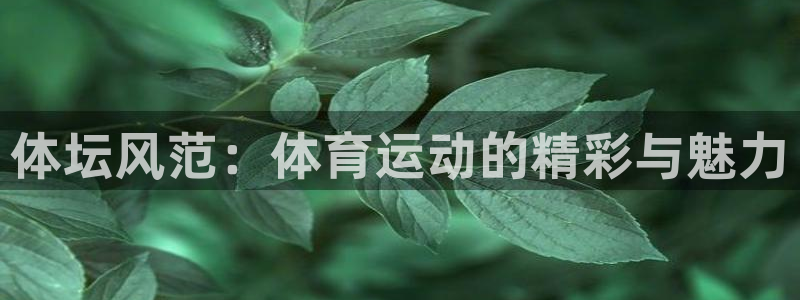 凯发官网下载平台是正规平台吗：体坛风范：体育运动的精彩与魅力
