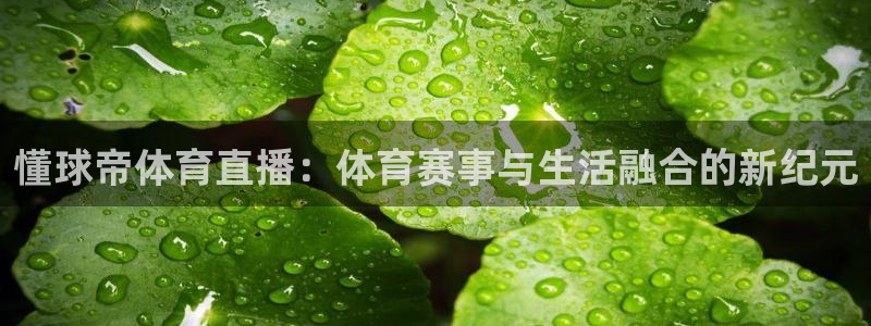 飞速直播足球比赛