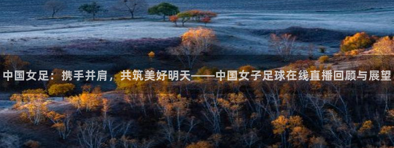 飞速nba免费直播