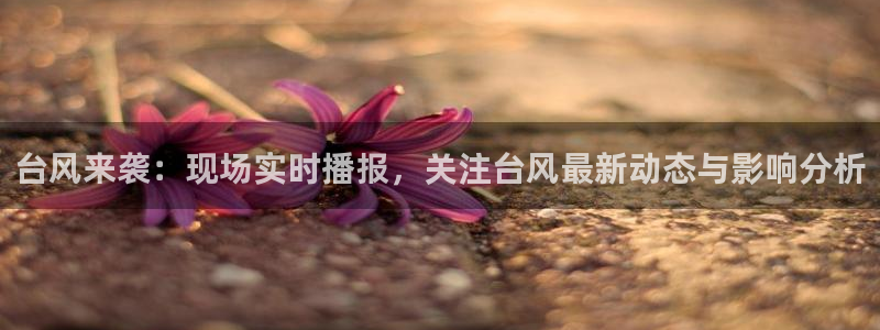 飞速看球直播