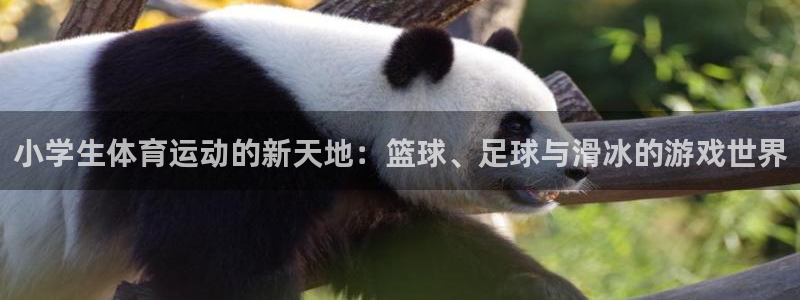 凯发k8娱乐平台网址：小学生体育运动