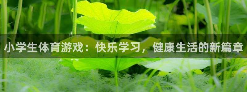 k8凯发西布朗维奇：小学生体育游戏：