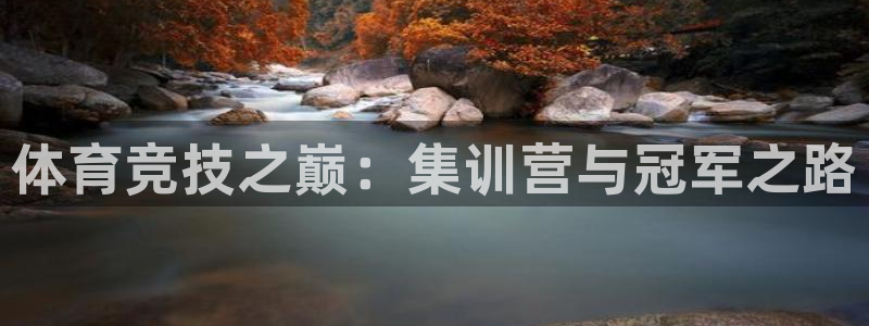 凯发线上地址苹果版下载：体育竞技之巅