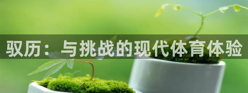  凯发k8真人官网：驭历：与挑战的现代体育体验