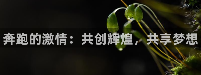  凯发k8旗舰店：奔跑的激情：共创辉煌，共享梦想