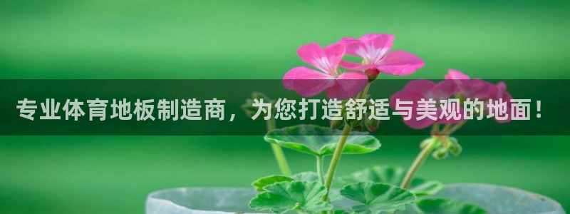 ks8凯发官网免费下载：专业体育地板制造商，为您打造舒适与美