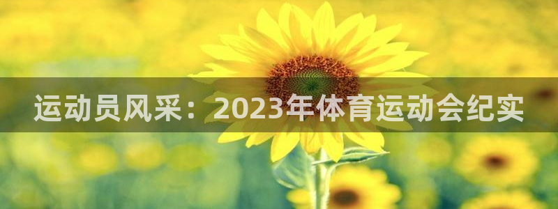  凯发注册平台安卓版下载：运动员风采：2023年体育运动会纪实