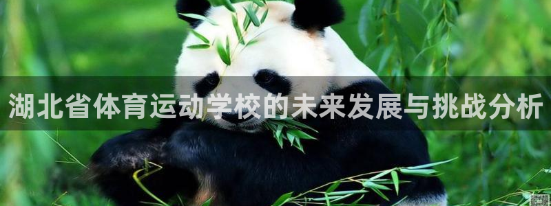  凯发注册app在线：湖北省体育运动学校的未来发展与挑战分析