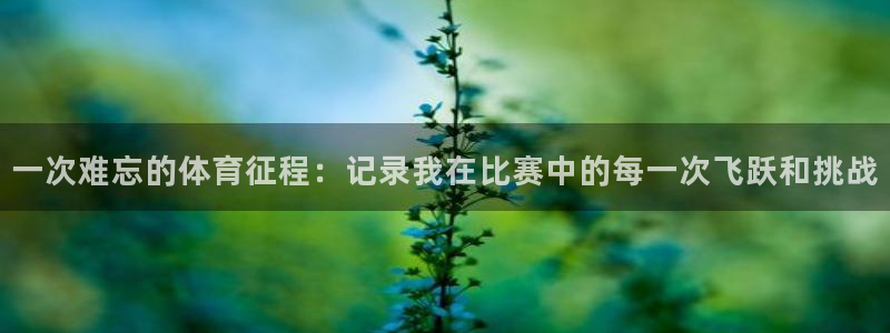  k8凯发网页打不开?：一次难忘的体育征程：记录我在比赛中的每