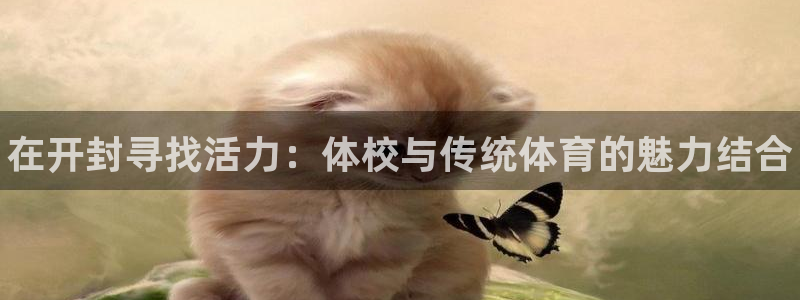 凯发官方正版app娱乐代理怎么样：在开封寻找活力：体校与传统