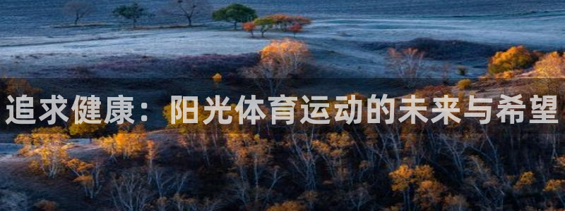 凯发官方正版app娱乐平台：追求健康：阳光体育运动的未来与希