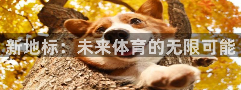 凯发官网下载平台是正规平台吗知乎
