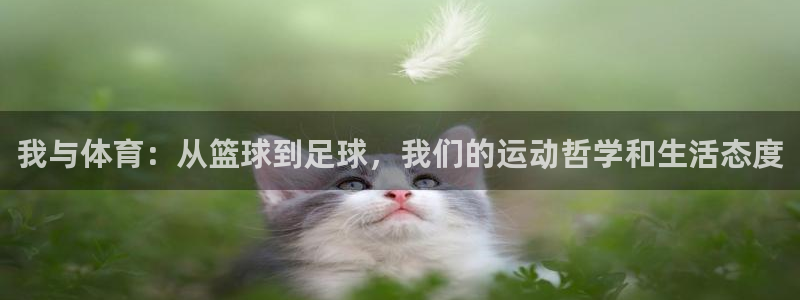 凯发官网下载平台注册流程视频：我与体育：从篮球到足球，我们的