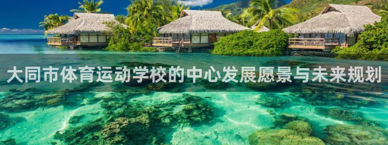 凯发官方平台体育：大同市体育运动学校的中心发展愿景与未来规划