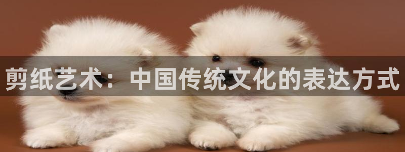 海南凯发官网下载发展怎么样：剪纸艺术：中国传统文化的表达方式