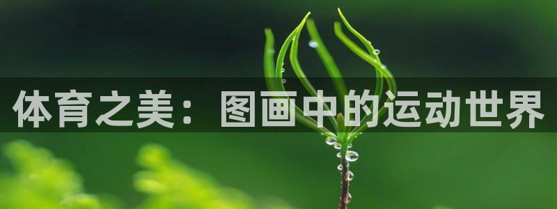 凯发官网下载招商电话号码：体育之美：图画中的运动世界