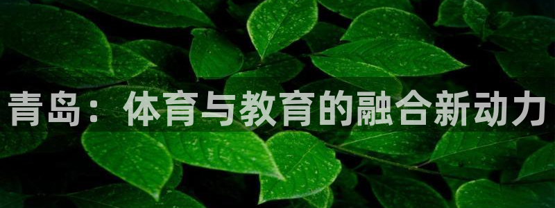 凯发官网下载招商电话地址是多少：青岛：体育与教育的融合新动力