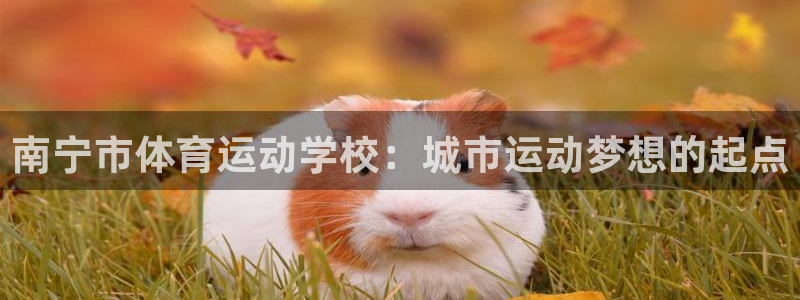 凯发官网下载平台假的吗是真的吗吗：南宁市体育运动学校：城市运