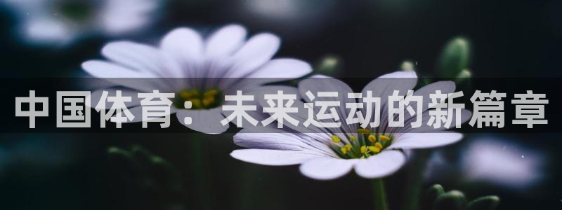 凯发官方正版app娱乐下载：中国体育：未来运动的新篇章