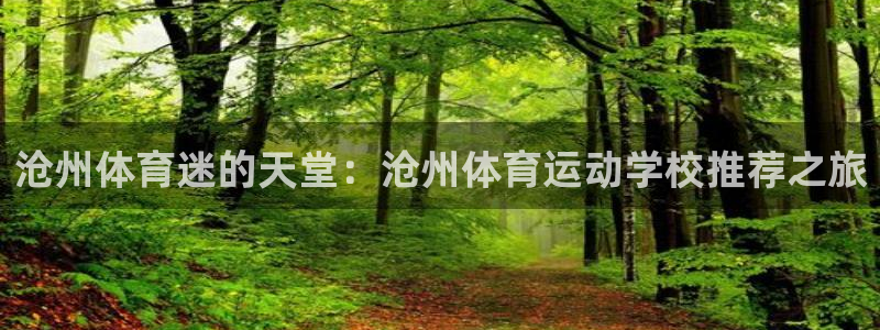 凯发官网下载平台假的吗是真的吗吗：沧州体育迷的天堂：沧州体育