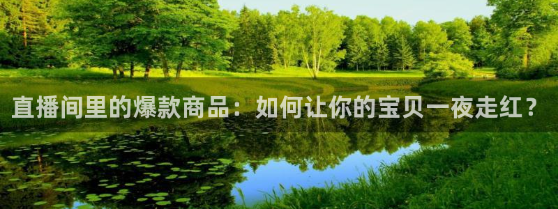 飞速直播体育nba在线直播：直播间里的爆款商品：如何让你的宝贝一夜走红？